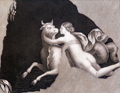 Európa elrablása - metszet alkotó: Unknown artist