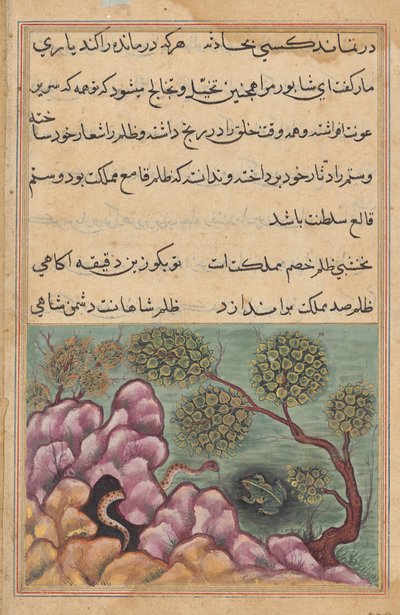A trónfosztott béka Shapur a kígyó segítségét kéri, egy Tuti-namától (Papagáj meséi): Huszadik-hatodik éjszaka alkotó: Unknown artist