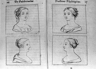 A "Tractatus physiologicus de beautye"-ből vett különböző női profilok Ernesto Venióval (Ernestus Vaenius) foglalkoznak, aki megvédi a teremtés szépségét egy névtelen ellenféllel szemben. 1612 alkotó: Unknown artist