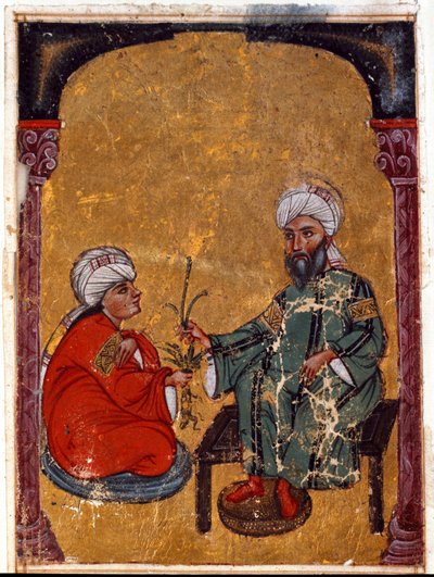 Az orvos és botanikus Pedanius Dioscoride (Dioscorides) (i.sz. 40-90), aki egyik tanítványának elmagyarázza a miniatűr növények erényeit, melyeket a „De materia medica” című értekezéséből (Fol. 2 verso) Irakban írt le. 1229 Topkapi Sarayi Múzeumi Könyvtár, alkotó: Unknown artist