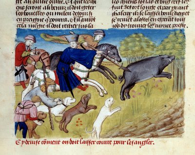 Gaston III Phoebus, Foix grófja, Bearn ura (1331-1391) miniatűr vaddisznóvadászata a „A vadászat könyvéből” alkotó: Unknown artist