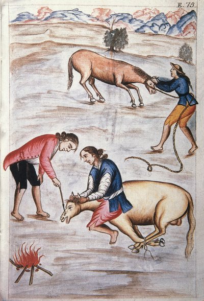 Egy kanca vörös vas márkajelzése, a "Trujillo del Peru" vagy a "Codex Martinez Companion" könyvből, Baltazar Martinez Companion és Bujanda, Trujillo püspöke (1782-1785) által alkotó: Unknown artist