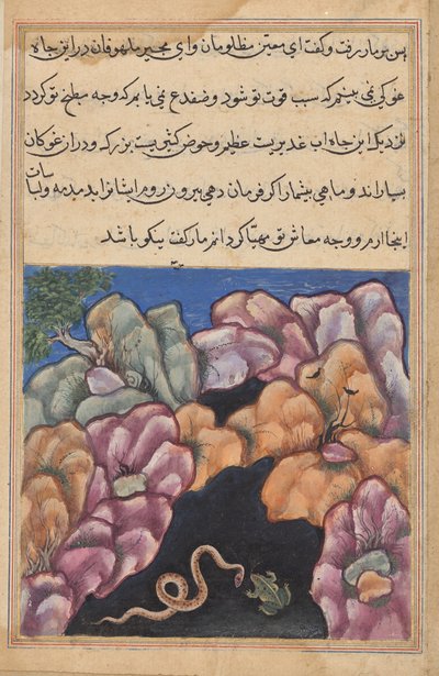 A kígyó vitába bocsátkozik a békával, egy Tuti-namából (Papagáj meséi): Huszonhatodik éjszaka alkotó: Unknown artist