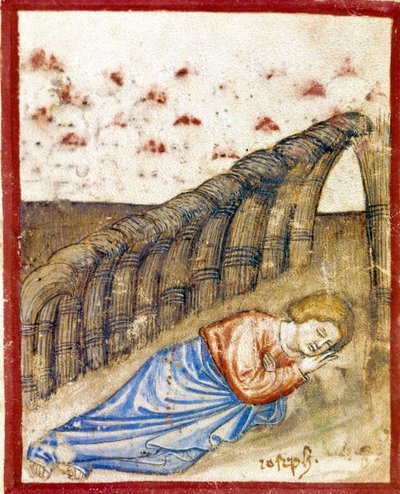 József látomása, Jákob fia Miniatűr a 212-es kódexből (vagy Páduai kódexből vagy Páduai Bibliából) 1390-1400 Rovigo, Accademia dei Concordi alkotó: Unknown artist