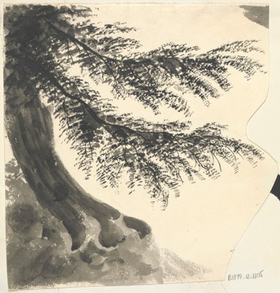 Fa alkotó: Unknown artist