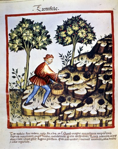 Ismeretlen kép alkotó: Unknown artist