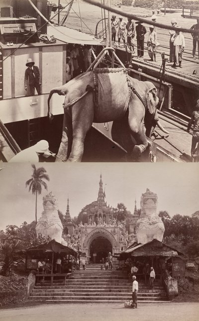 Cím nélkül: (hajóra rakodó elefánt, recto); (lépcsőfokok és épület, verso) alkotó: Unknown artist