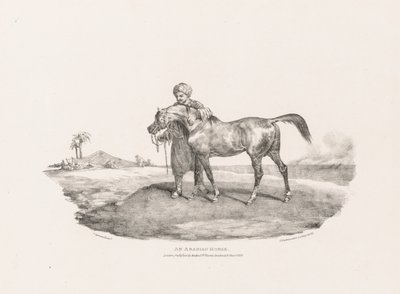 Különféle témák az életből és a kőből: Egy arab ló alkotó: Unknown artist