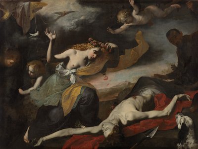 A Vénusz felfedezi a halottakat Adonisz alkotó: Unknown artist