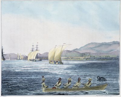 Kilátás Mamille városára, Fülöp-szigeteken. alkotó: Unknown artist