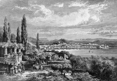 Trieszt városának kilátása (az osztrák időszakban), metszet 1885-ből alkotó: Unknown artist