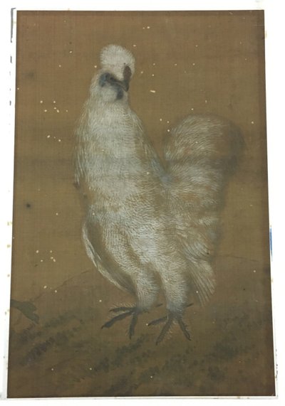 Fehér kakas alkotó: Unknown artist
