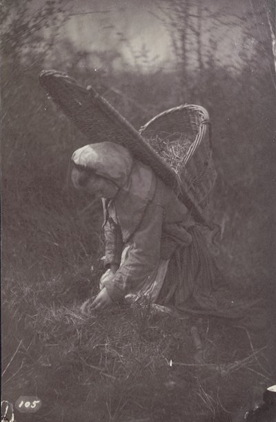 [Nő kosárral a hátán] alkotó: Unknown artist