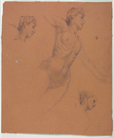 rajz alkotó: Unknown artist