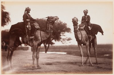 Camel Sowars a Delhi gyakorlótáborban alkotó: Unknown photographer