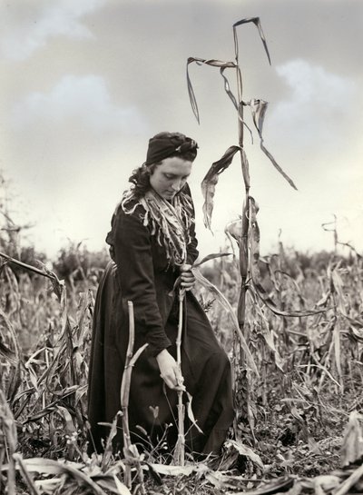 Friulian extrudált alkotó: Unknown photographer