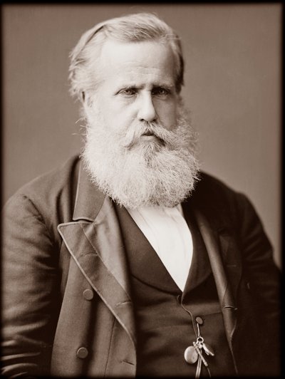 II. Dom Pedro (II. Péter) (II. Péter) (Dom Pedro de Alcantara) (1825-1891), brazil császár portréja alkotó: Unknown photographer
