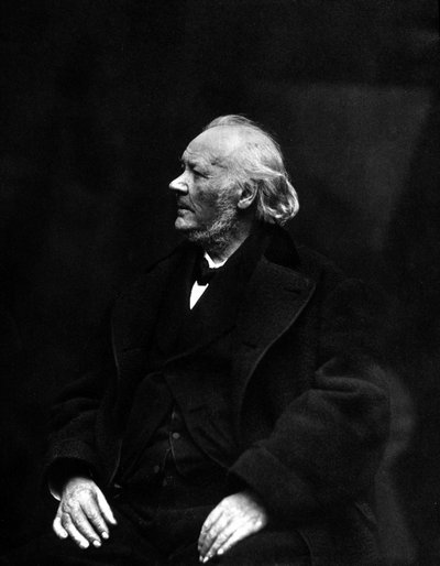 Honore Daumier francia karikaturista, litográfus, festő és szobrász (1808-1879) portréja. 19. századi fénykép. alkotó: Unknown photographer