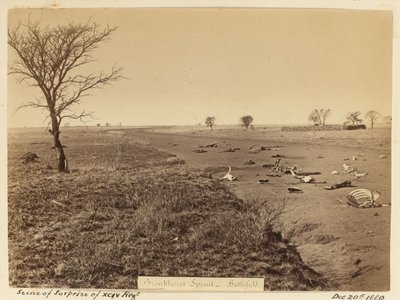 ?Az xciv ezred meglepetésének jelenete?, 1881 alkotó: Unknown
