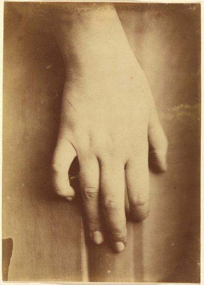 Tanulmány egy kézről,1865 (fotó) alkotó: Unknown photographer