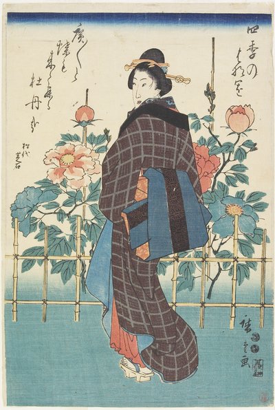 Szépség a bazsarózsa kertben, 1847-1852 alkotó: Utagawa Hiroshige