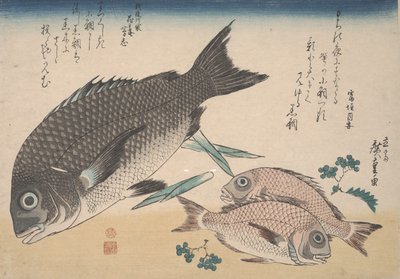 Fekete-tengeri keszeg, kis tengeri keszeg, spárgahajtások és sansho bors, 1830 körül alkotó: Utagawa Hiroshige