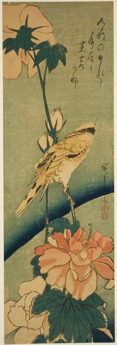 Fekete szarvas rózsavirág a hibiszkuszon alkotó: Utagawa Hiroshige