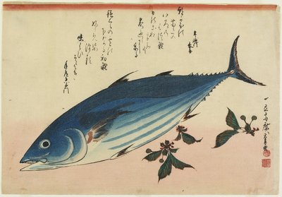 Bonito és cseresznyelevelek, 1832-1833 alkotó: Utagawa Hiroshige