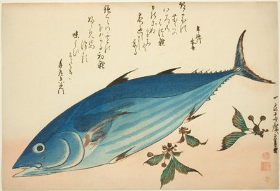 Bonito és szaxifrage, egy névtelen halsorozatból alkotó: Utagawa Hiroshige