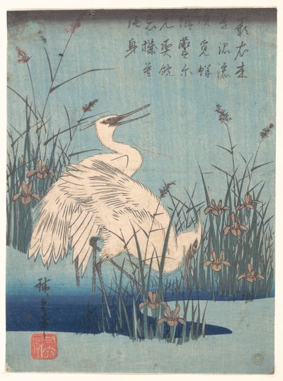 Kócsag íriszek és füvek között alkotó: Utagawa Hiroshige