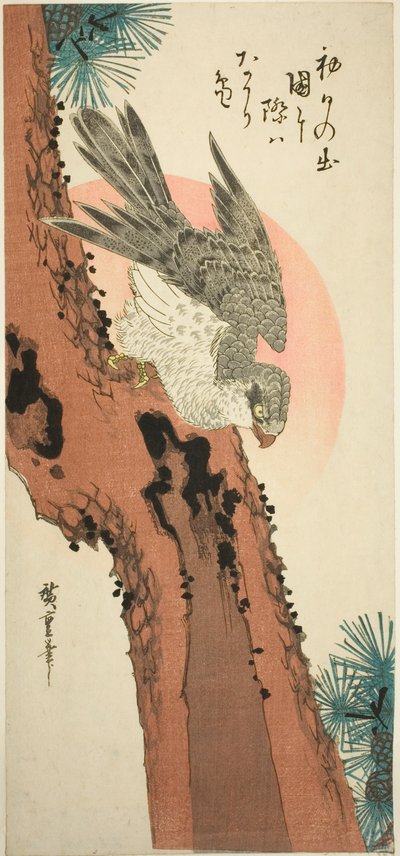 Sólyom a fenyőfán a felkelő nappal alkotó: Utagawa Hiroshige