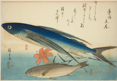 Repülőhal és Ichimochi, egy névtelen halsorozatból alkotó: Utagawa Hiroshige