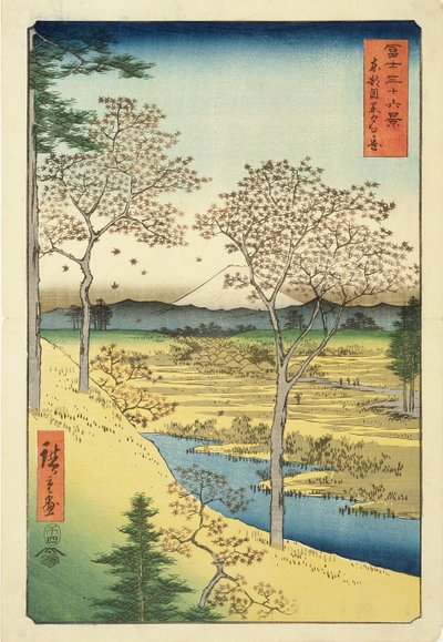Fuji a Yuhi-Gától, Megwo, No.10 a „36 Views of Mt.Fuji” sorozatból („Fuji Saryu Rokkei”) (színes fatömbnyomat) alkotó: Utagawa Hiroshige
