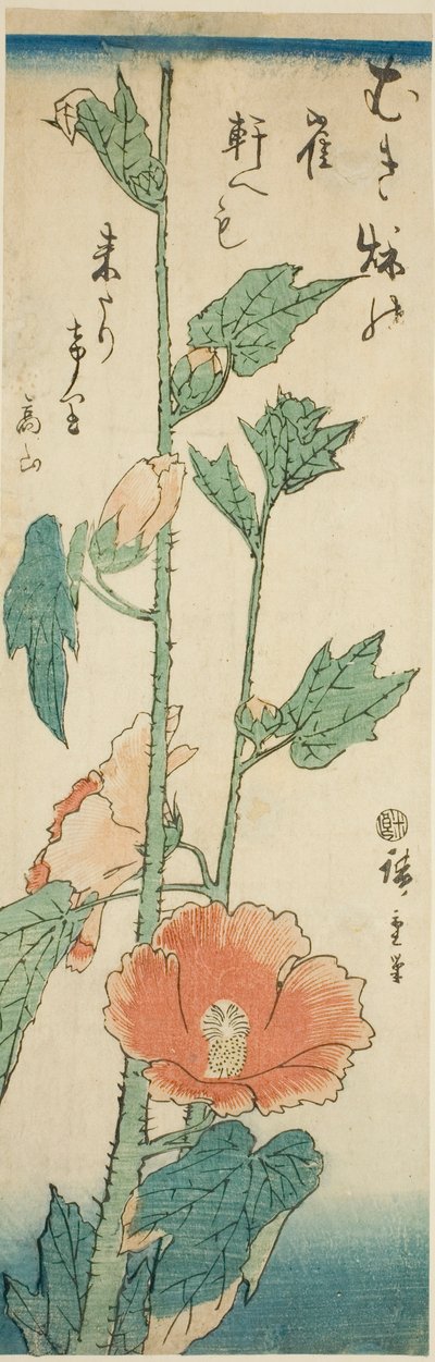 Hibiszkusz alkotó: Utagawa Hiroshige