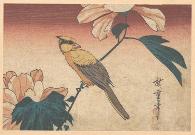 Változó hibiszkusz és szajkó alkotó: Utagawa Hiroshige