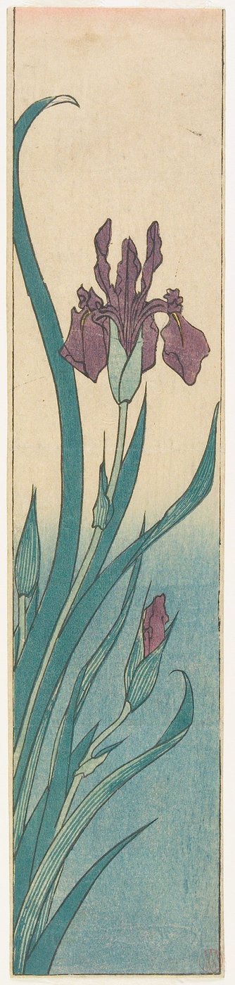 Nőszirom alkotó: Utagawa Hiroshige