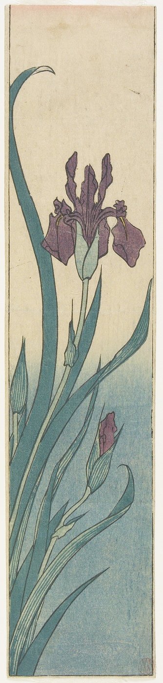 Írisz, 19. század eleje alkotó: Utagawa Hiroshige