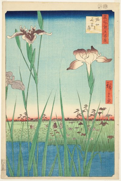 Irase s at Horikiri (Horikiri no Hanadokorobe), a ``Ridge d re d f s Views of Edo (Edo száz híres nézete) című sorozatból. alkotó: Utagawa Hiroshige