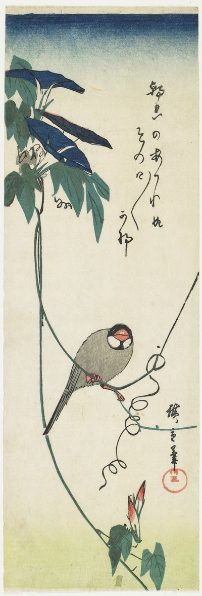 Java Sparrow and Morning Glories, 1834-1839 alkotó: Utagawa Hiroshige