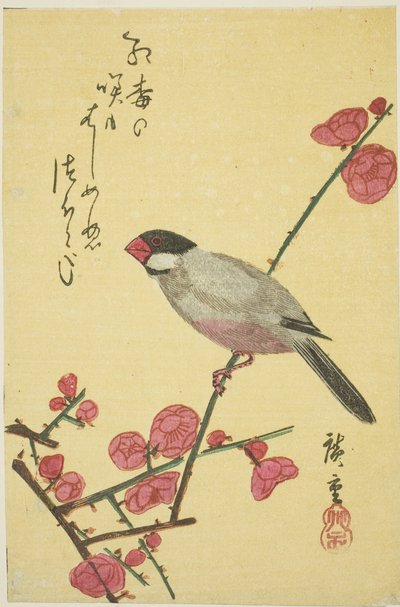 Java veréb szilva ágon alkotó: Utagawa Hiroshige