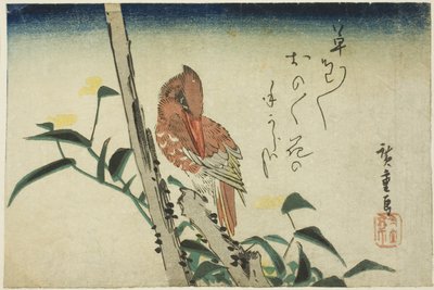 Jégmadár és napvirág alkotó: Utagawa Hiroshige