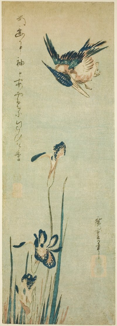 Jégmadár és írisz alkotó: Utagawa Hiroshige
