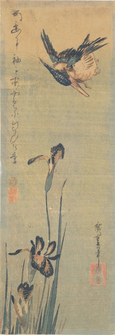 Jégmadár repül egy írisz felett alkotó: Utagawa Hiroshige
