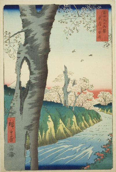 Koganei Musashi tartományban (Musashi Koganei), a "Harminchat kilátás a Fuji-hegyre (Fuji sanjurokkei)" sorozatból alkotó: Utagawa Hiroshige