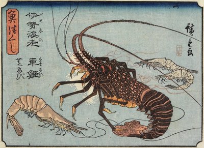 Homár, garnélarák és garnélarák, 1830-1844 alkotó: Utagawa Hiroshige
