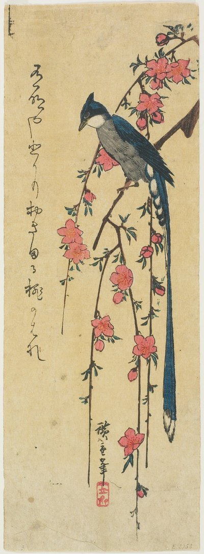 Hosszú farkú madár virágzó őszibarackfán alkotó: Utagawa Hiroshige