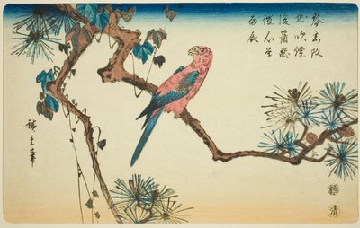 Ara fenyő ágon alkotó: Utagawa Hiroshige