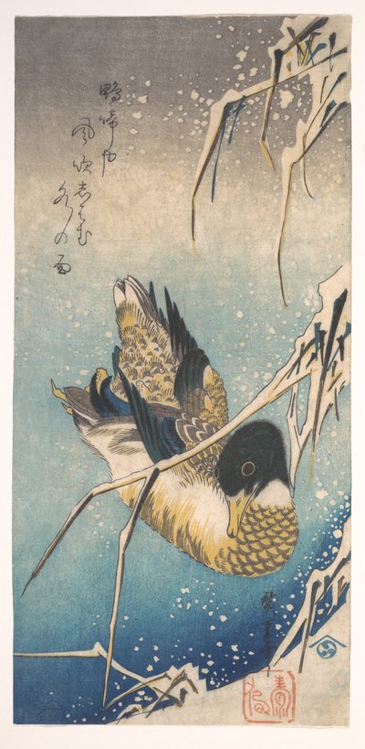 Tőkés réce és hófödte nádas alkotó: Utagawa Hiroshige