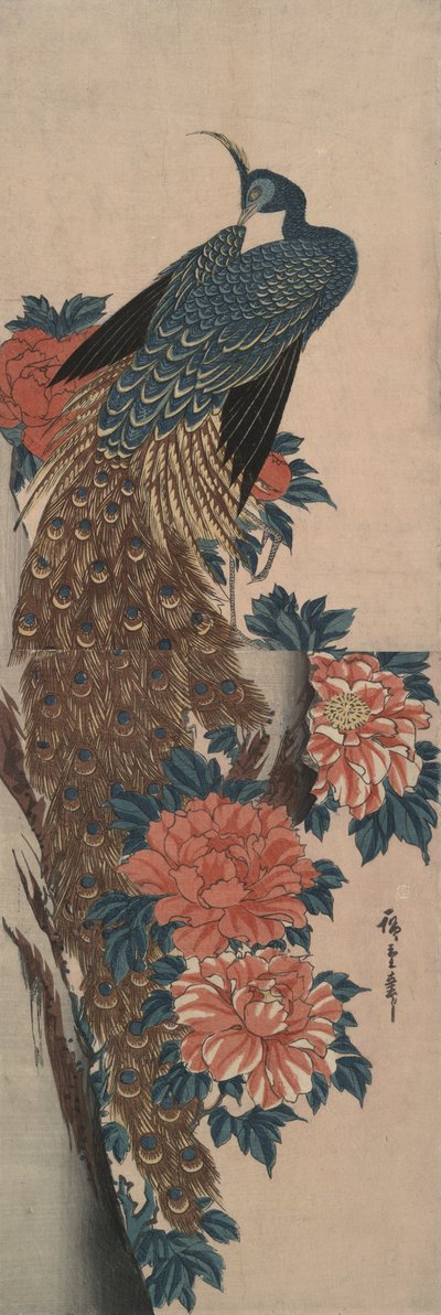 Páva és pünkösdi rózsa alkotó: Utagawa Hiroshige