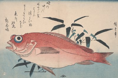 Tengeri keszeg és bambuszfű, 1840 alkotó: Utagawa Hiroshige